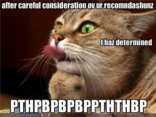 LOLcat careful consideration